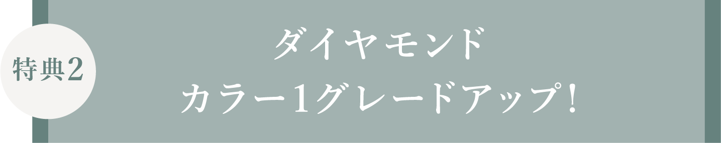 プロポーズ応援！！バラの花束